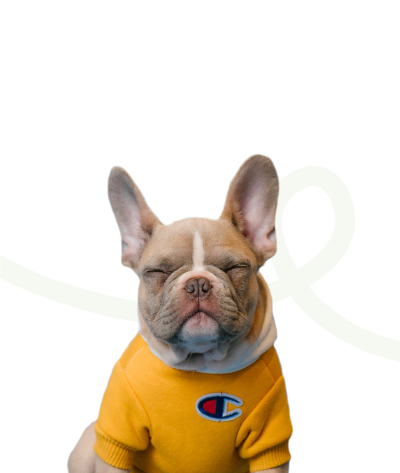 We actively support the domestic pet industry so that retailers can offer a wide range of high-quality products for pets of all ages and needs