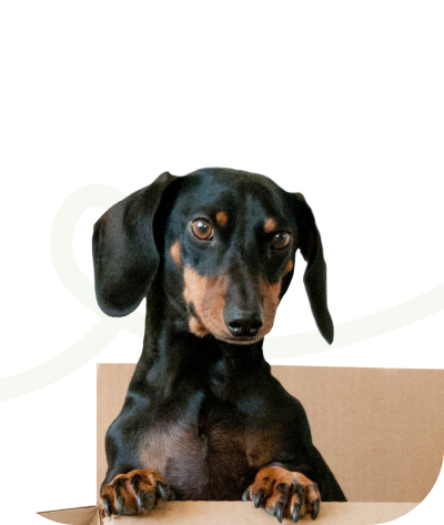 Regular deliveries in the volume you need