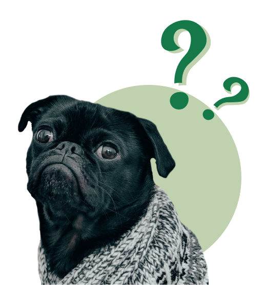 Answers to frequently asked questions